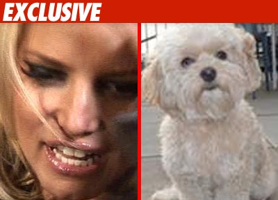 Jessica's Doggy Help -- Calling Off the Search