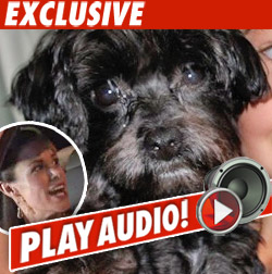 Pet Tracker Wins 2nd Chance with Brooke's Dog