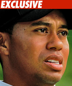 Tiger Slams Door on Cops -- Again