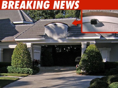 Surveillance Cameras on Tiger's Property
