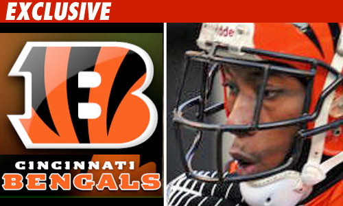 Bengals X-Mas Party Converted into Memorial