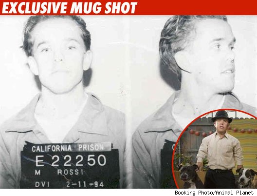 Animal Planet Star -- Attempted Murderer