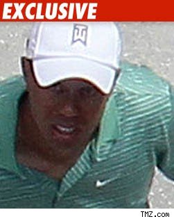 Tiger Woods' Tale Disputed by Many