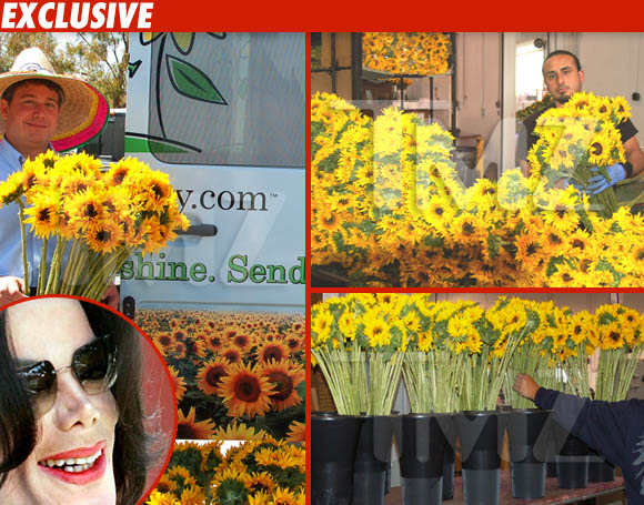 Michael Jackson sunflowers