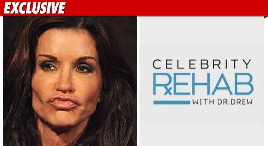Janice Dickinson Celebrity Rehab