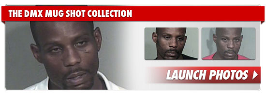 DMX Mugshot