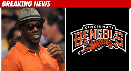 Terrell Owens - Bengals