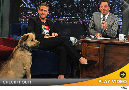 0721_gosling_video
