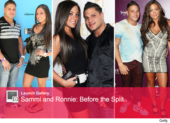 1019_sammi_launch