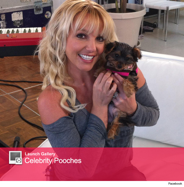 1126_britney_launch