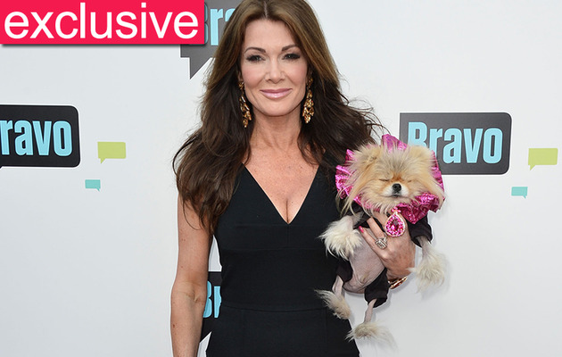 Exclusive: Lisa Vanderpump Threw Impromptu "Dancing With the Stars" Wrap Party!