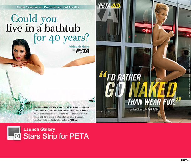 0822_peta_launch