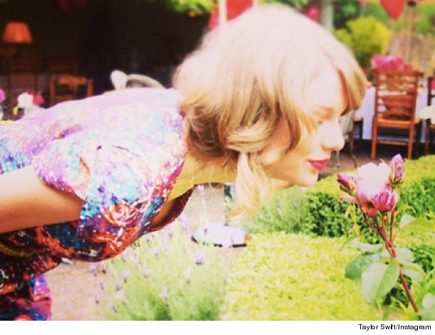 1214_taylor_inset-(2)