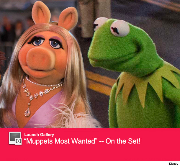 0107_muppets_launch
