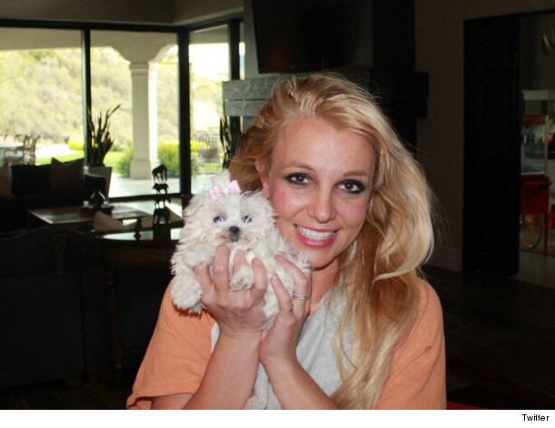 0110_brit_inset