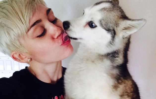 Miley Cyrus Is "Broken" After Beloved Dog Floyd Dies