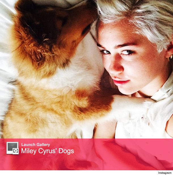 0630_miley_launch