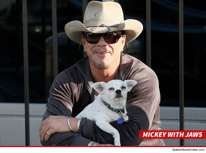 mickey rourke my dog will live forever tmz com mickey rourke my dog will live forever tmz com