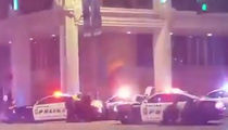 Dallas Cops Fatally Shot -- Multiple Suspects Apprehended (VIDEO + PHOTO)
