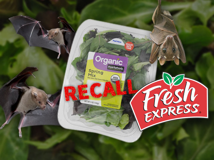 Dead Bat Inside Walmart Salad Forces Recall