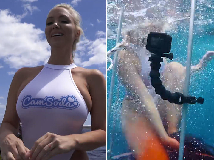 shark porn shark porn