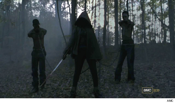 0319_michonne_inset