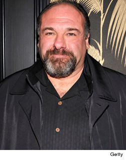0619_gandolfini_single