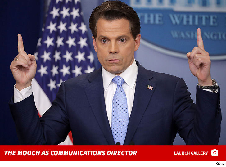 0731 anthony scaramucci communications director photos sub 3