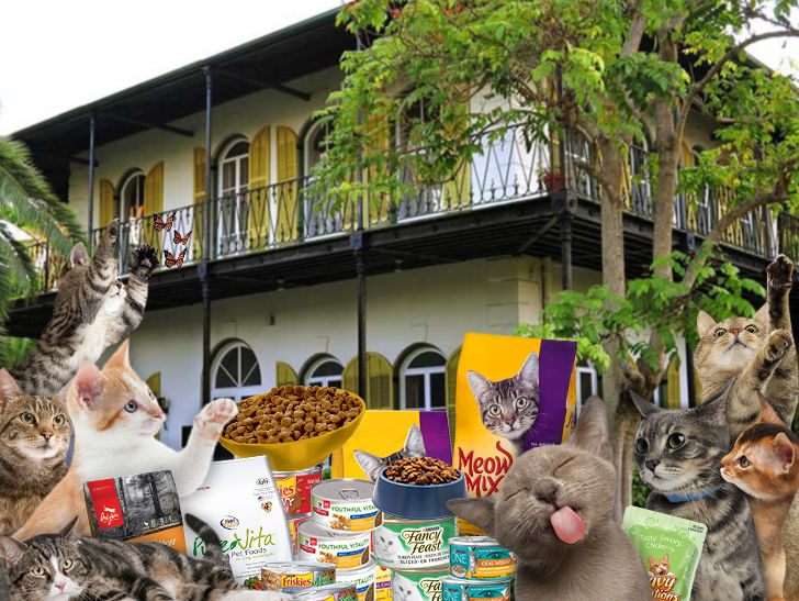 Hemingway Home Cats Won't Starve Post-Irma on 4-Week Supply of Chow