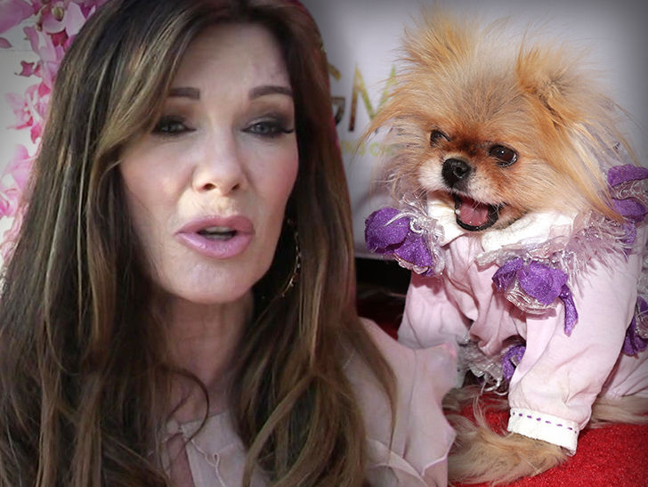 vanderpump dogs vanderpump sued for giggy tmz vanderpump dogs vanderpump sued for giggy tmz