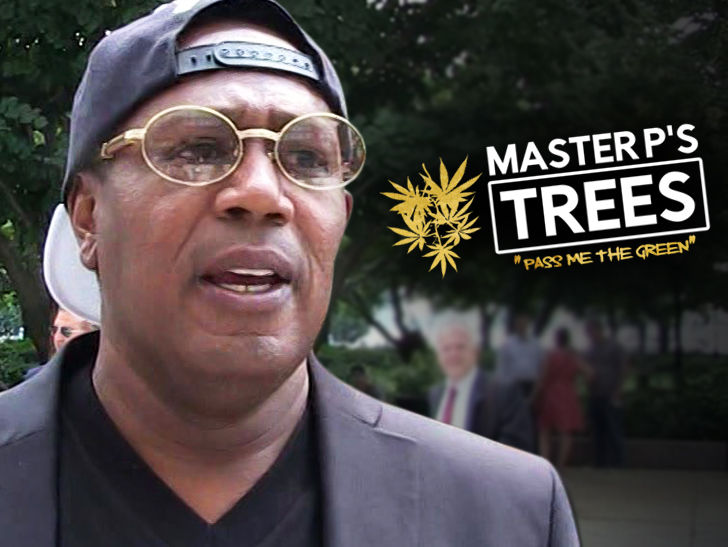 Master P Sues Cannabis Company for Leaving His Weed Brand High and Dry