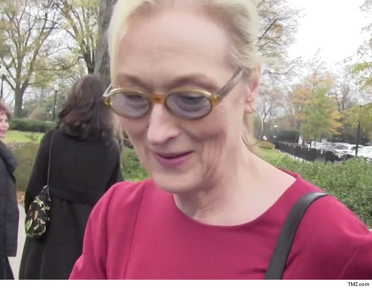 Meryl Streep wants to trademark Meryl Streep Meryl Streep wants to trademark Meryl Streep