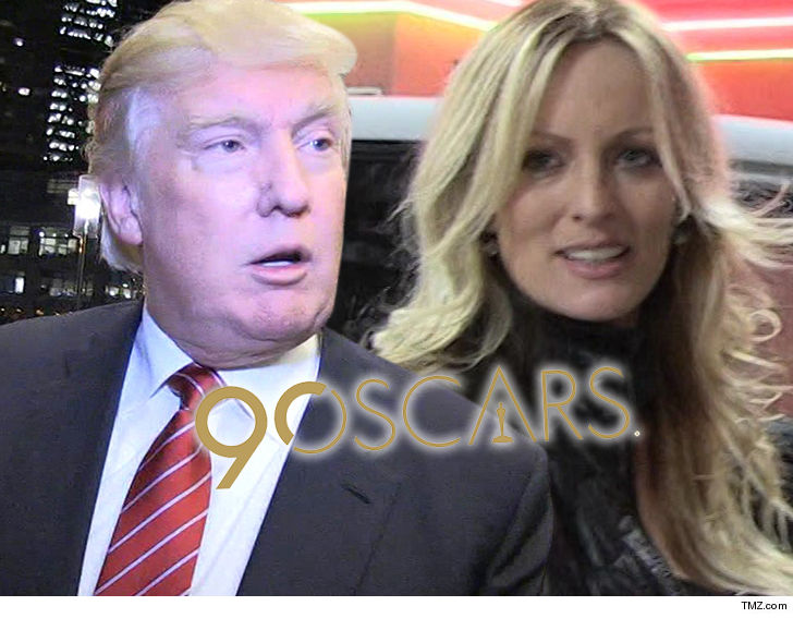 Trump's Longtime Lawyer Says He Paid Stormy Daniels Out of His Own Pocket