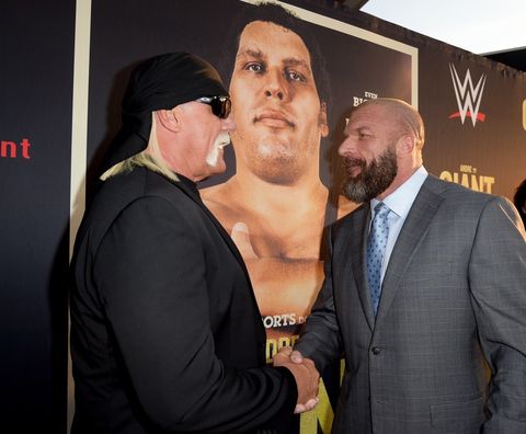 Hulk Hogan and Triple H
